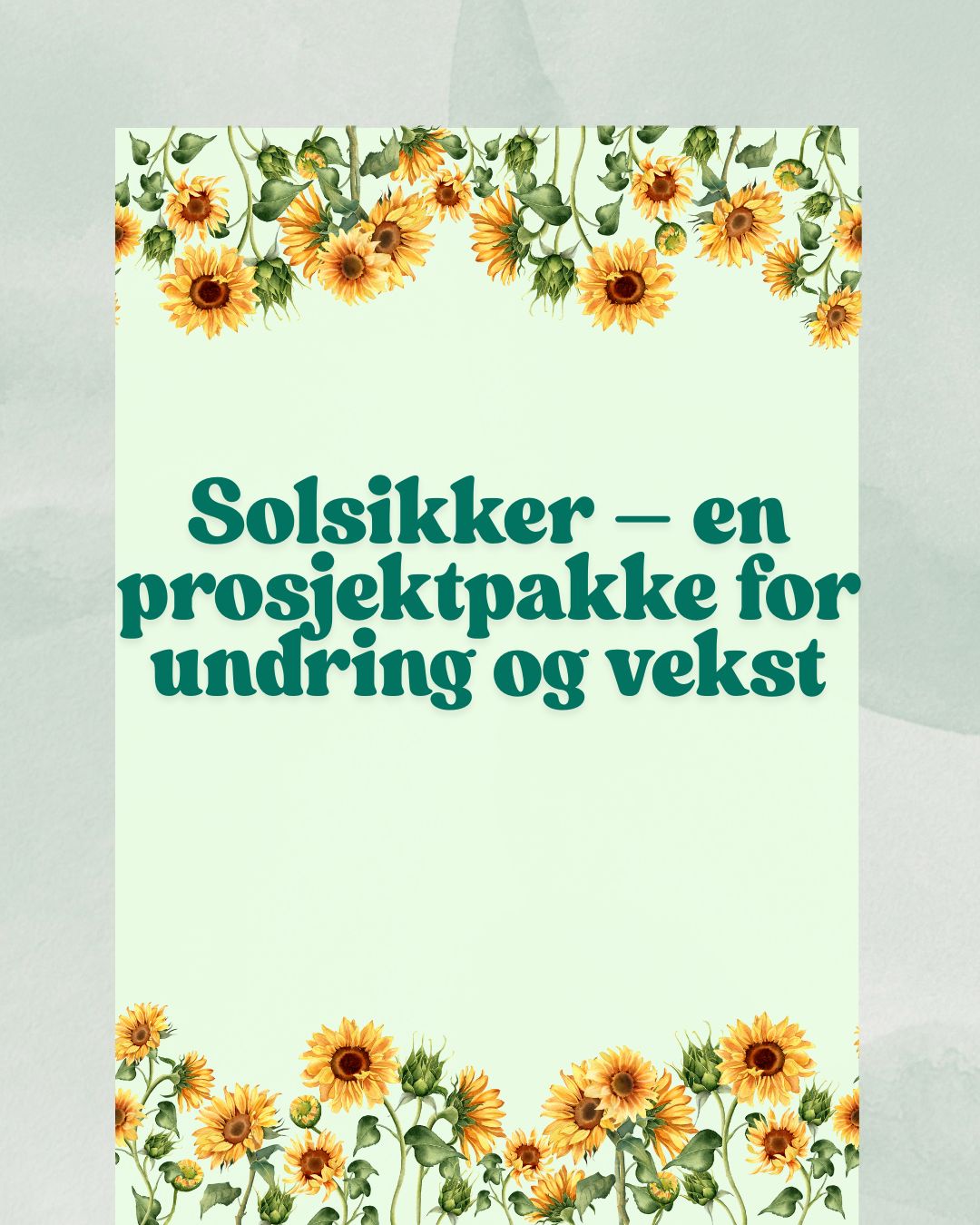 Prosjektpakke - Solsikker
